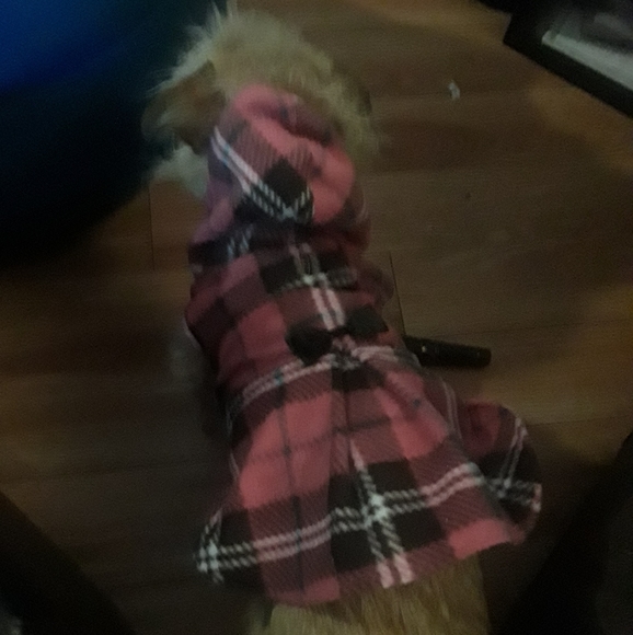 PINK PLAID PUPPY PETTYCOAT - Picture 2 of 3